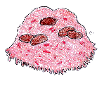 Frumur: 